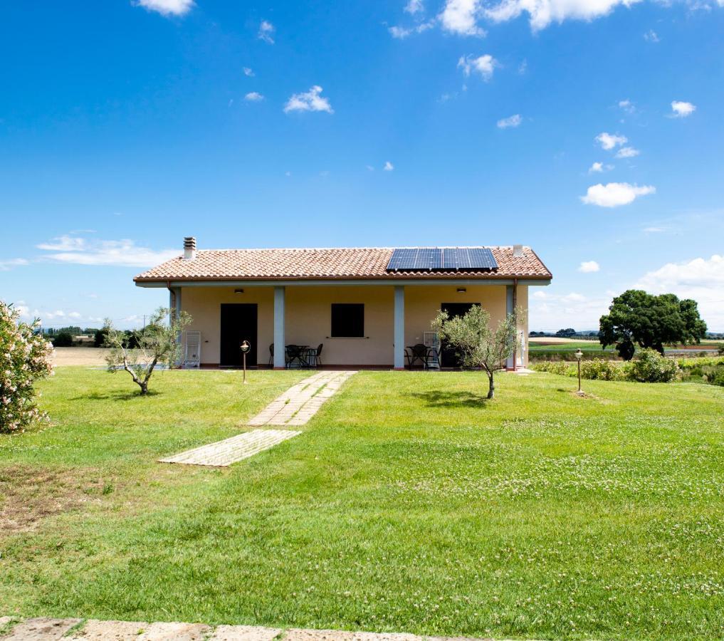 Podere Giovanni Olivo Tarquinia Exterior photo